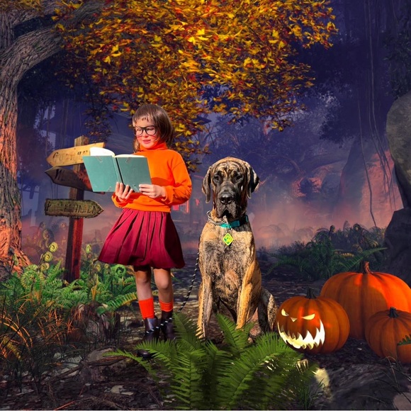 Scooby Doo Family costumes - Picture 3 of 3